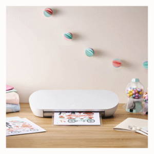 Silhouette Portrait 4